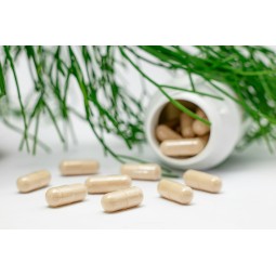 Analyse d'antioxydant (AOX) dans un complément alimentaire