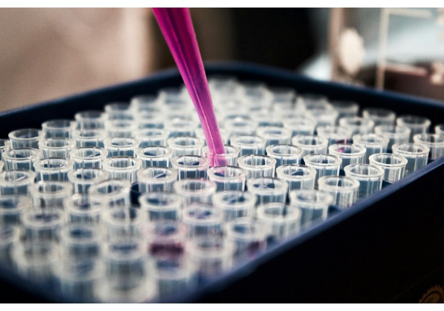 Analyse du paracétamol par chromatographie : Un outil essentiel pour identifier les contrefaçons